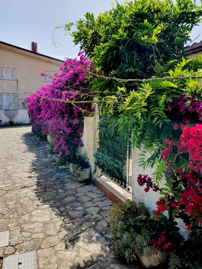 Casa Susy Bouganville 400 Mt Dal Mare Sperlonga Exterior foto